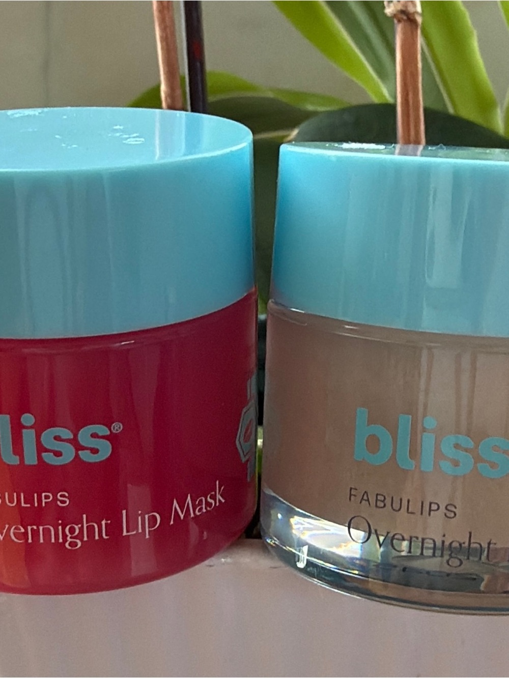 Bliss Overnight Lip Mask Duo — Bright Pink & Nude